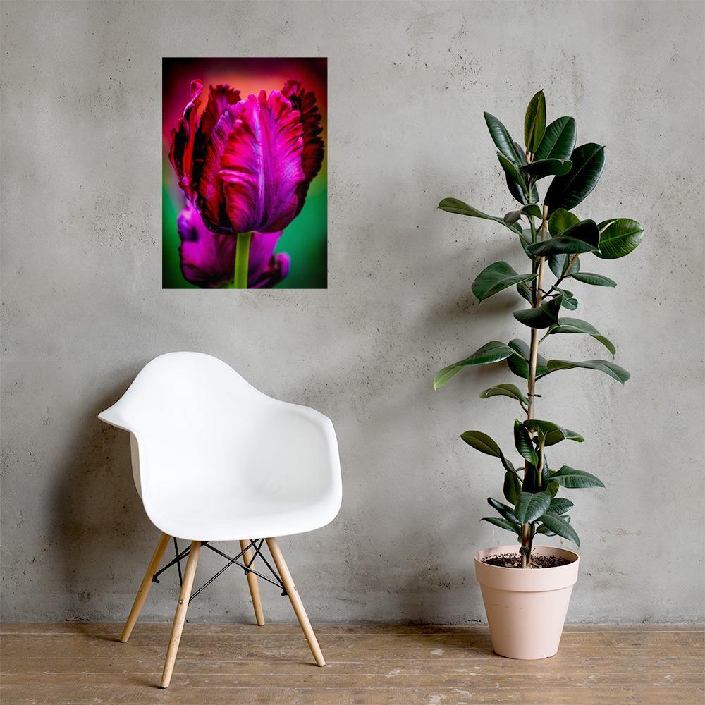 50 x 70cm Purple Tulip Poster - Andrew Moor Photography
