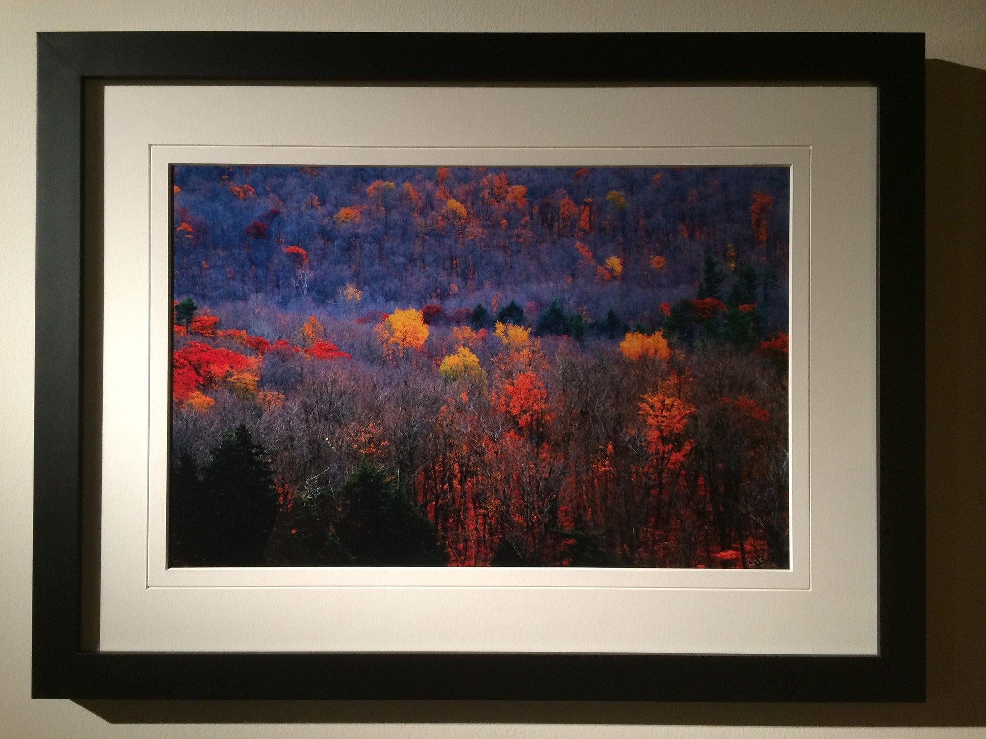 Fall Colors -signed and framed print - Andrew Moor Photography