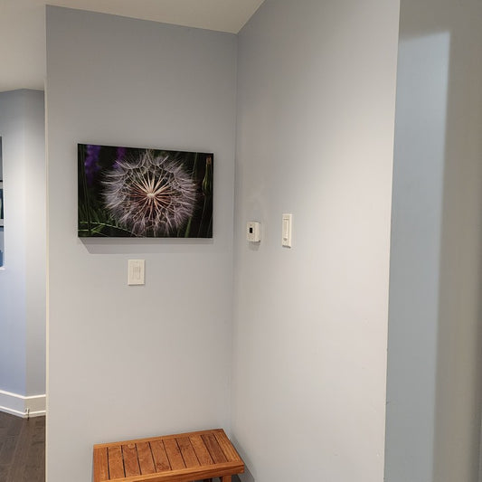 Andrew Moor Photography blog - Image of one of my Canvas Photos on a customer wall for blog entry "customer photos of my photos"