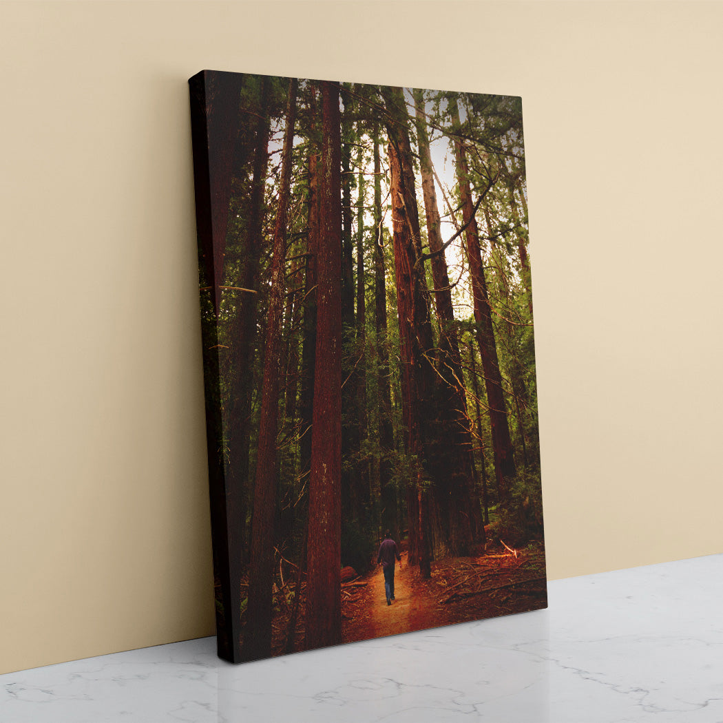 Avenue of the Giants Canvas Art Prints - Image Edges - Andrew Moor Photography