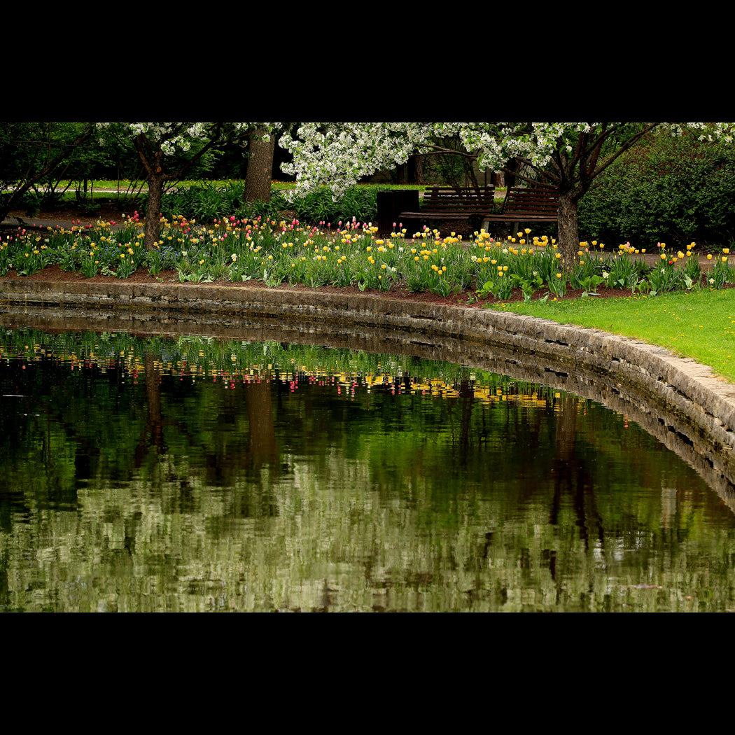 Browns Inlet - Spring Canvas Art Print - Catalog Image - Andrew Moor Photography
