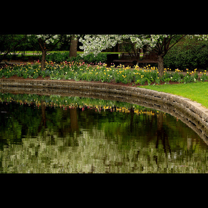 Browns Inlet - Spring Canvas Art Print - Catalog Image - Andrew Moor Photography