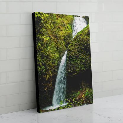 Upper Latourell Falls Canvas Print - black edges - Andrew Moor Photography