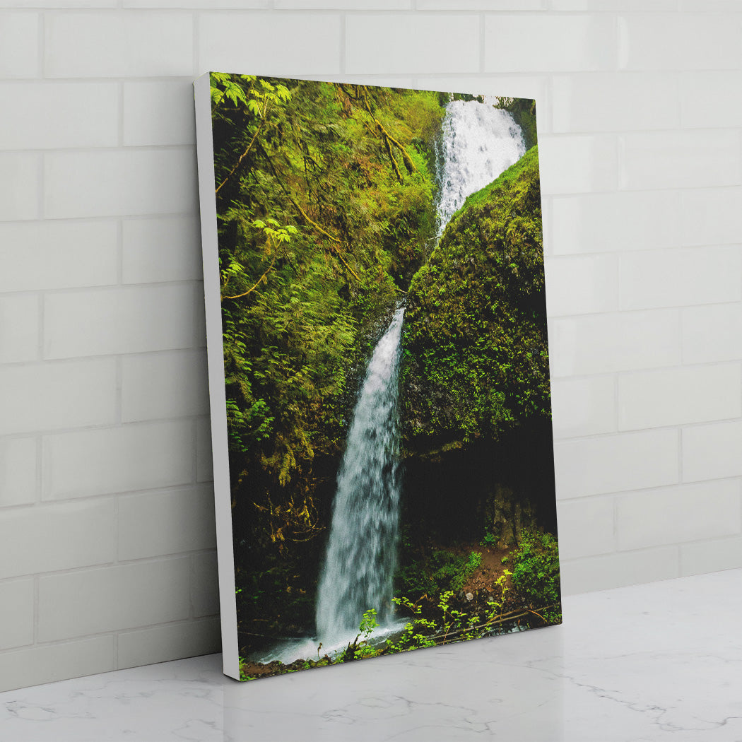 Upper Latourell Falls Canvas Print - white edges - Andrew Moor Photography