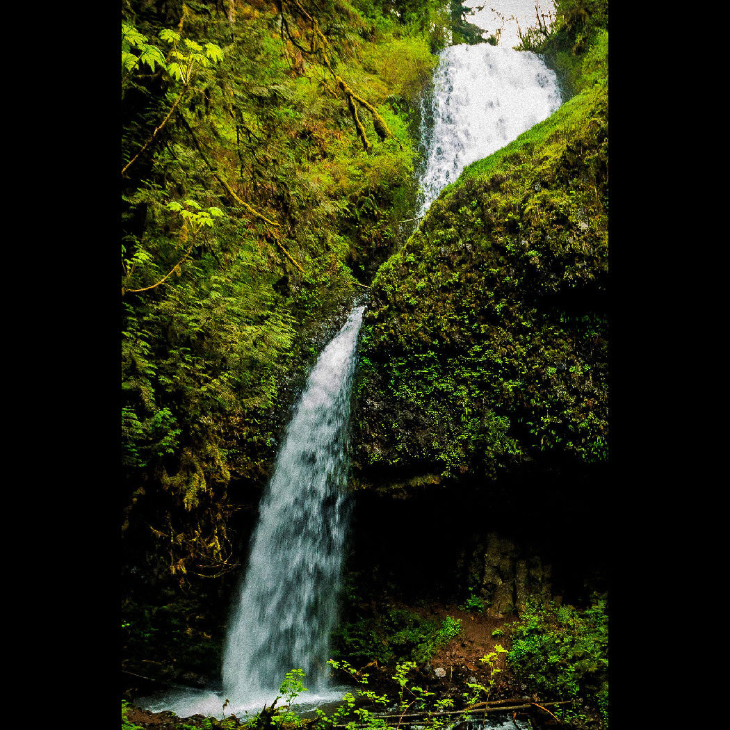 Upper Latourell Falls Canvas Print