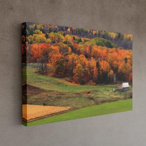 Autumn Field Canvas Print - Image Edges - Andrew Moor Photography
