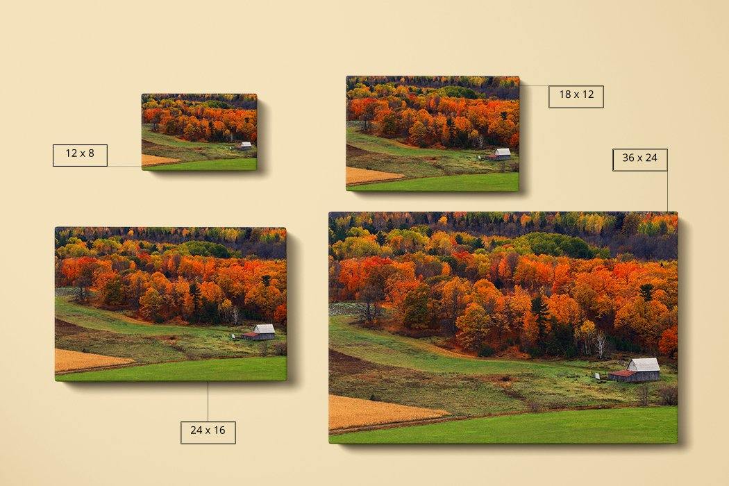 Autumn Field Canvas Square - Andrew Moor Photography