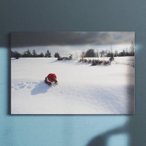 Bear on Snow Bear on Snow Canvas Square - Andrew Moor Photography