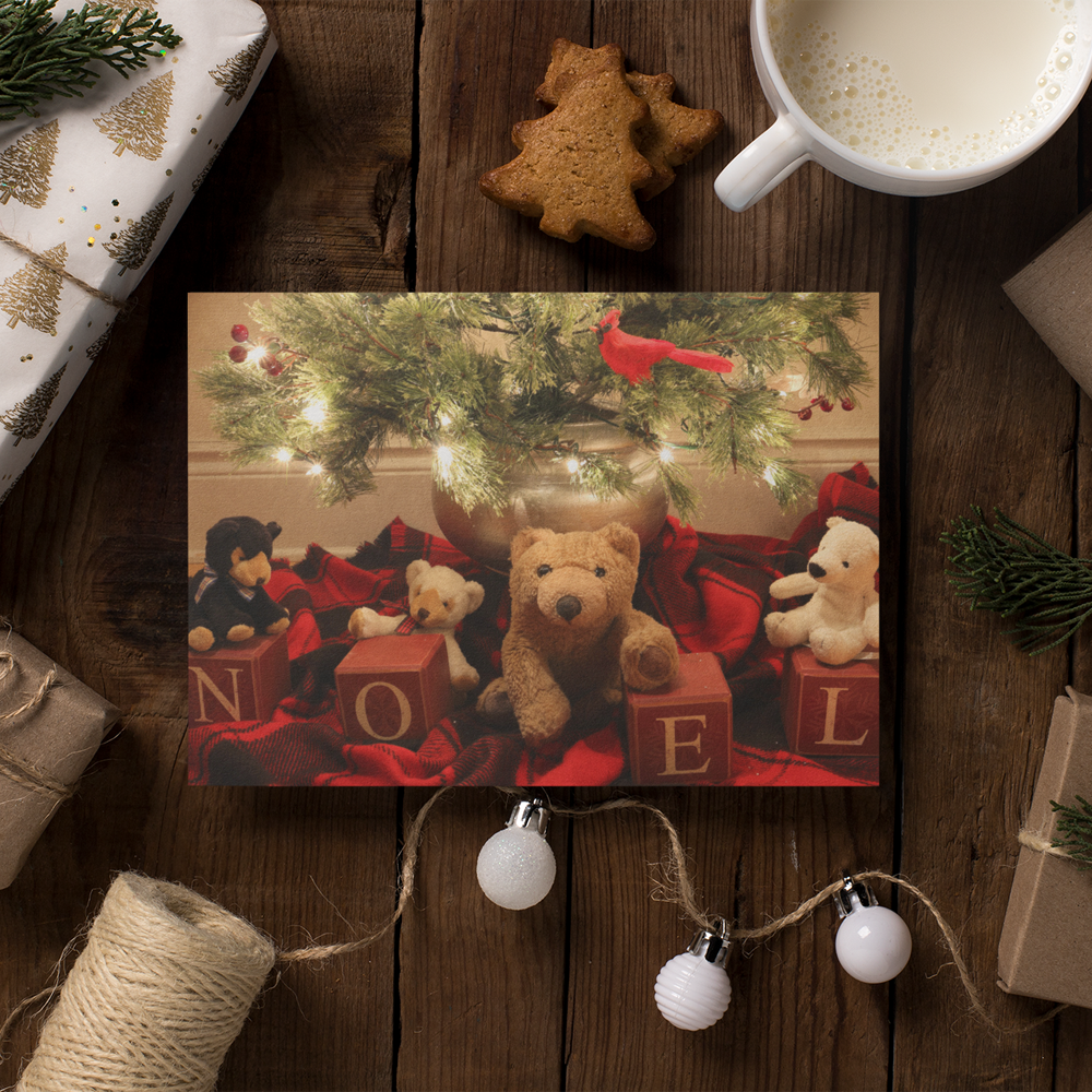 Biff and Friends - Happy Holidays Card - Andrew Moor Photography