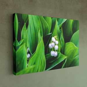 Lily of the Valley  - Canvas Print - Image Edges - Andrew Moor Photography