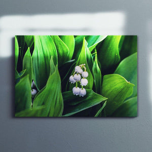 Lily of the Valley Canvas Square - Andrew Moor Photography