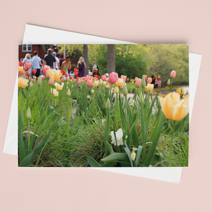 Tulip Fest Crowd Card - Andrew Moor Photography