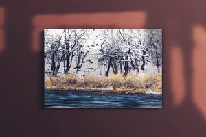 Winter Rivergrass  Canvas Main - Andrew Moor Photography