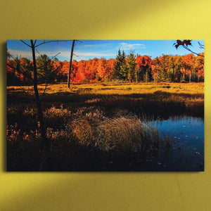 Wolf Trail Pond - October Canvas Square - Andrew Moor Photography