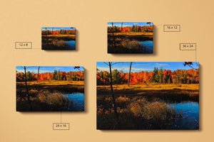 Wolf Trail Pond - October Canvas Compare Main - Andrew Moor Photography
